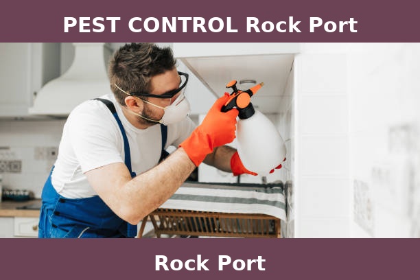 PEST CONTROL Rock Port